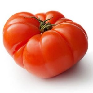 tomate optima